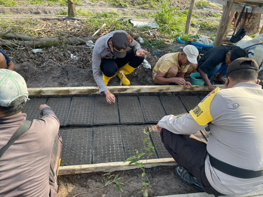 Polsek TPTM  Melihat Penyemaian Bibit  Semangka dan Pemasangan Mulsa di Ketahanan Pangan Kampung Tangguh Nusantara
